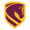 Brisbane Broncos W
