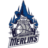 Crailsheim Merlins