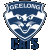 Geelong Cats 2