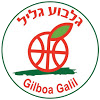 Gilboa Galil