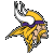 Minnesota Vikings