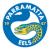 Parramatta Eels W