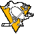 Pittsburgh Penguins