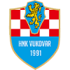 Vukovar 91